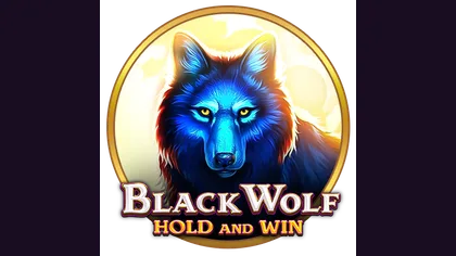 Black Wolf Hold and Win game artwork