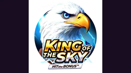 King of the Sky: Hit the Bonus game artwork