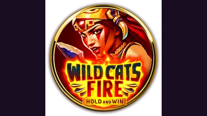 Wild Cats Fire: Hold and Win game artwork