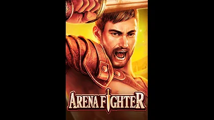 Arena Fighter game artwork
