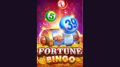 Fortune Bingo game artwork